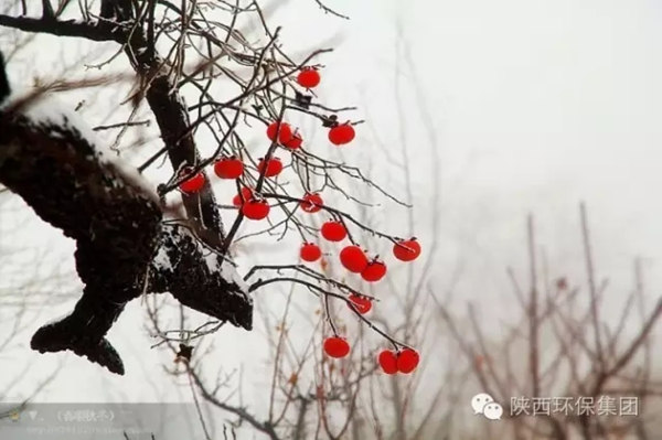 1639538887373363XtIX.jpg 640.webp (1)_副本.jpg